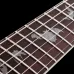 Schecter PT Standard Burl Black Fade Burst