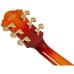 Ibanez AF115-AWB Aged Whiskey Burst