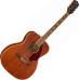 Fender Tim Armstrong Hellcat Acoustic