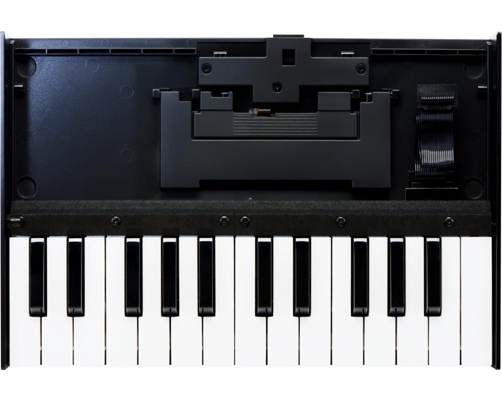 Roland K-25M Teclado para Boutique