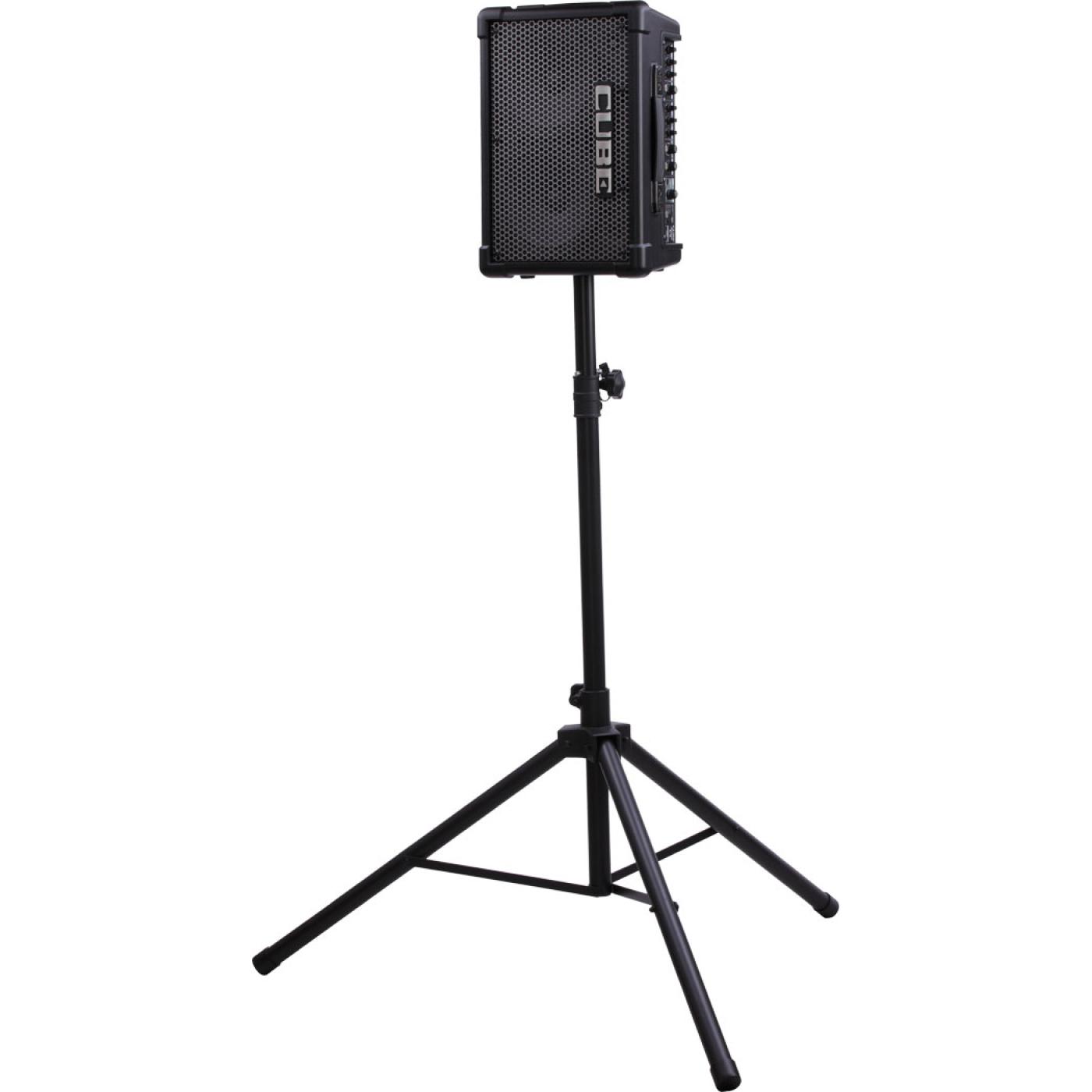 Roland Cube Street EX