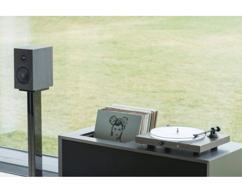 Pro-Ject JUKE BOX S2 - Stereo Set - Eucalyptus