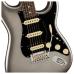 Fender American Pro II Stratocaster HSS RW MERC