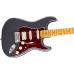 Fender American Professional Classic Stratocaster HSS MN Faded Black