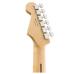 Fender Player Series Stratocaster MN TPL