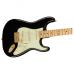 Fender Limited Edition Player Stratocaster, MN, BLK Gold Hardware.
