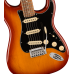 Fender Player Plus Stratocaster PF SSB