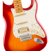 Fender Player II Stratocaster HSS MN Aged Cherry Burst