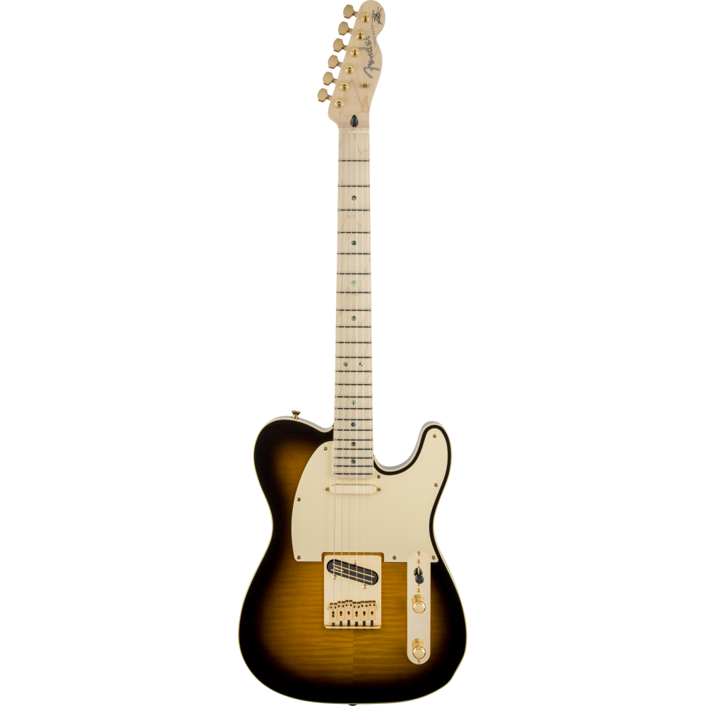 Fender Richie Kotzen Telecaster MN Brown Sunburst