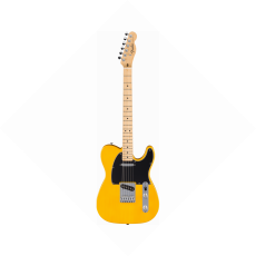 Fender Standard Telecaster MN BPG Butterscotch Blonde