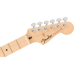 Fender Limited Edition Standard Stratocaster MN BPG Black