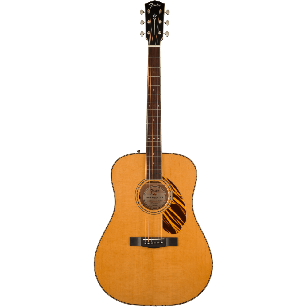 Fender PD-220E Natural with Case