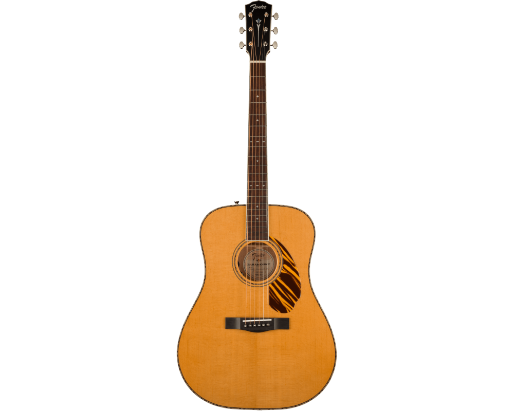 Fender PD-220E Natural with Case