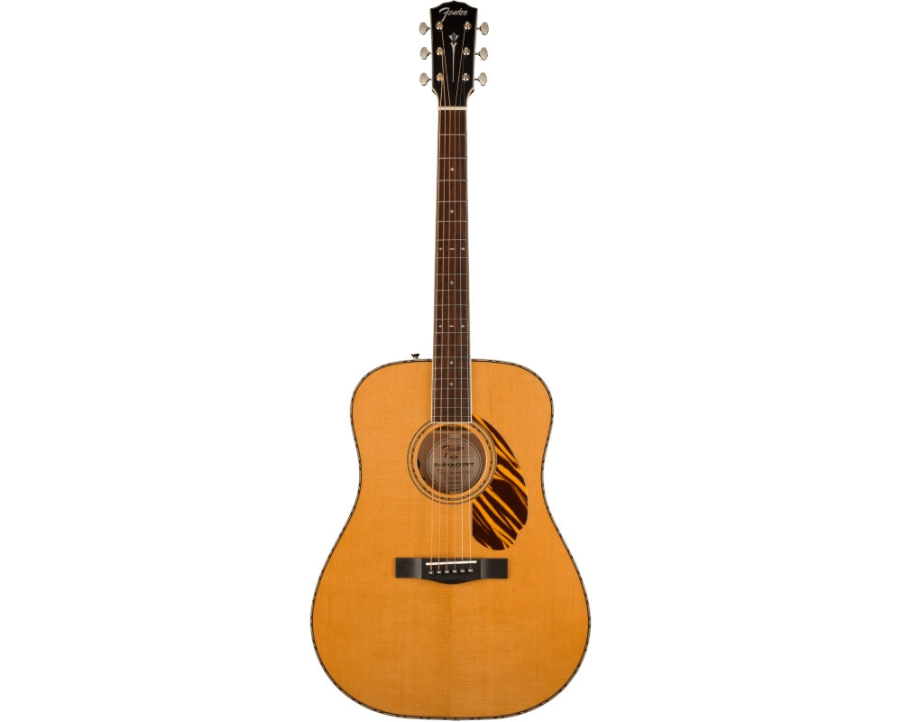 Fender PD-220E Natural with Case