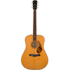Fender PD-220E Natural with Case