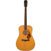 Fender PD-220E Natural with Case