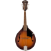 Fender PM-180E Mandolin, Walnut Fingerboard, w/Bag, Aged Cognac Burst
