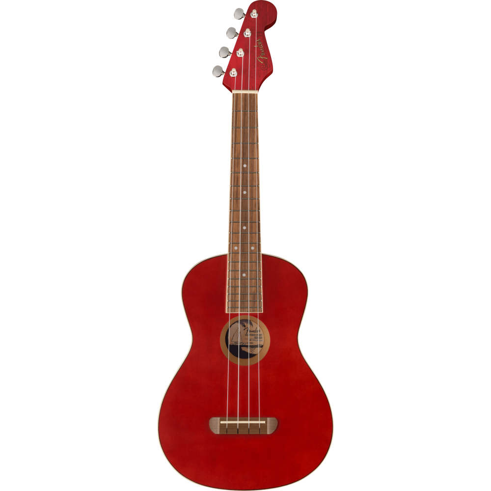 Fender Avalon Tenor Ukulele CHY WN