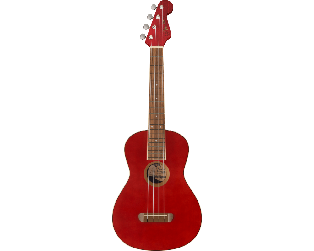 Fender Avalon Tenor Ukulele CHY WN