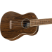 Fender Zuma Exotic Concert Ukulele, Walnut Fingerboard, Bocote