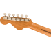 Fender Highway Parlor RW All Mahogany