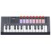 Novation FLkey 2 Mini 25