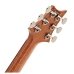 PRS Custom 24 Birds Of A Featjer LTD Charcoar Microburst