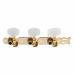 Gotoh 35G450 Classic Tuners G