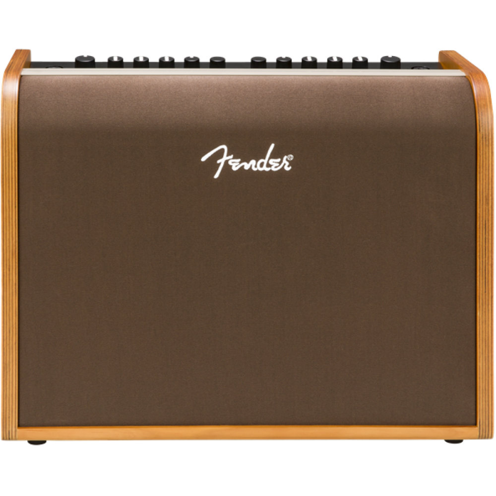 Fender ACOUSTIC 100