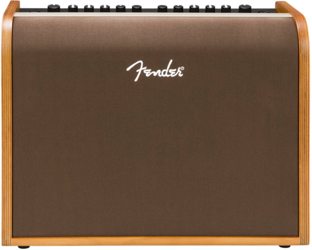 Fender ACOUSTIC 100