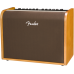 Fender ACOUSTIC 100
