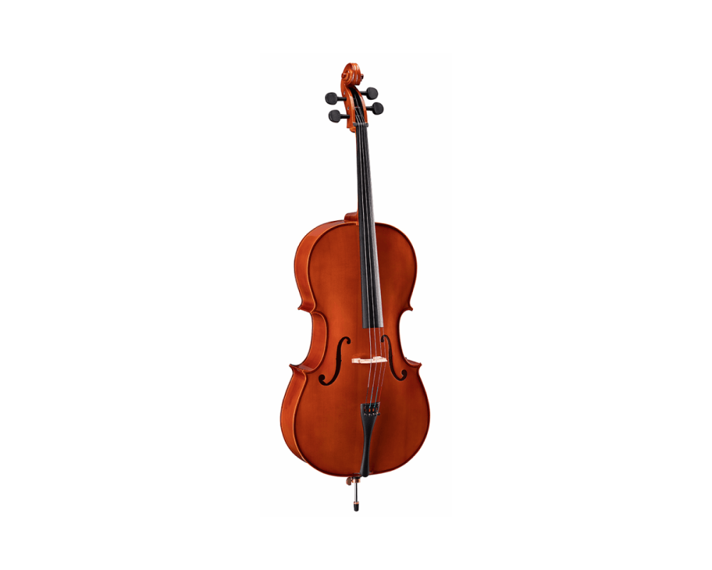 Soundsation Virtuoso Student VSCE-18