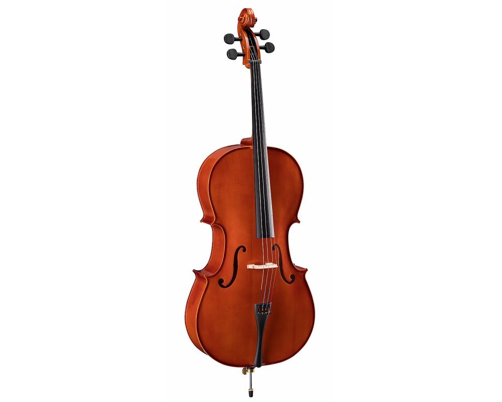 Soundsation Virtuoso Student VSCE-44