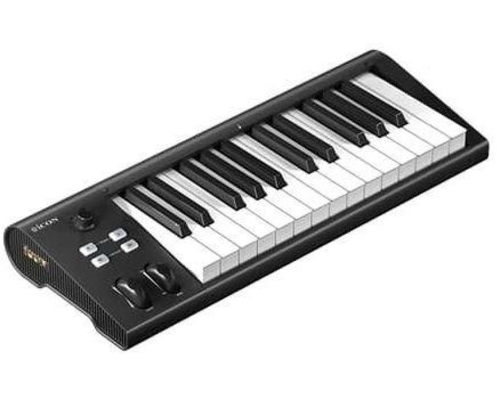 Icon Artist 25
