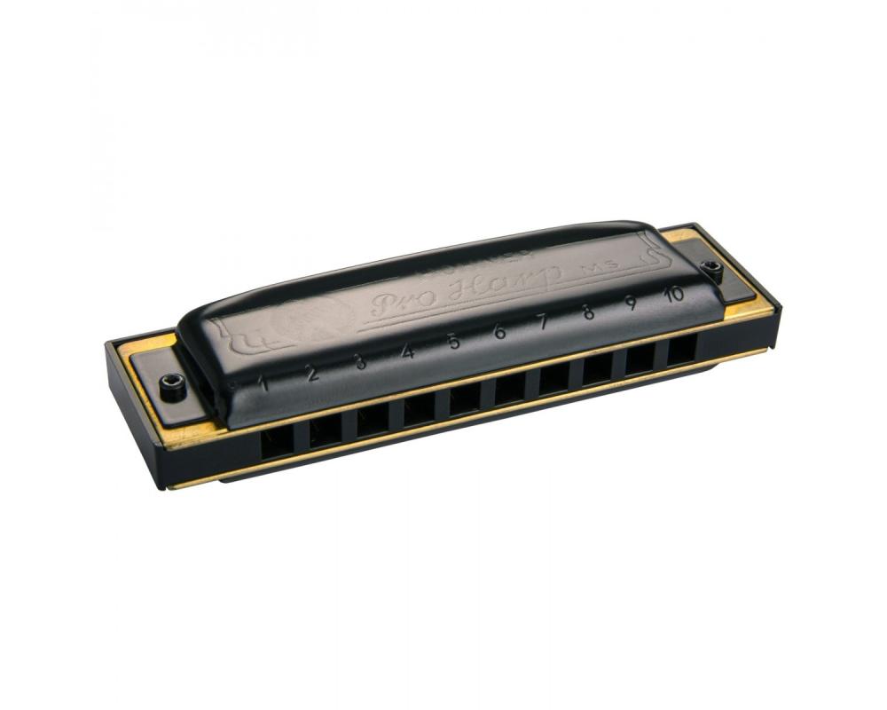Hohner Pro Harp MS B