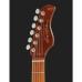 Sire Larry Carlton S7FM NT 2nd Gen