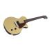 Sire Larry Carlton L3 P90 Gold Top