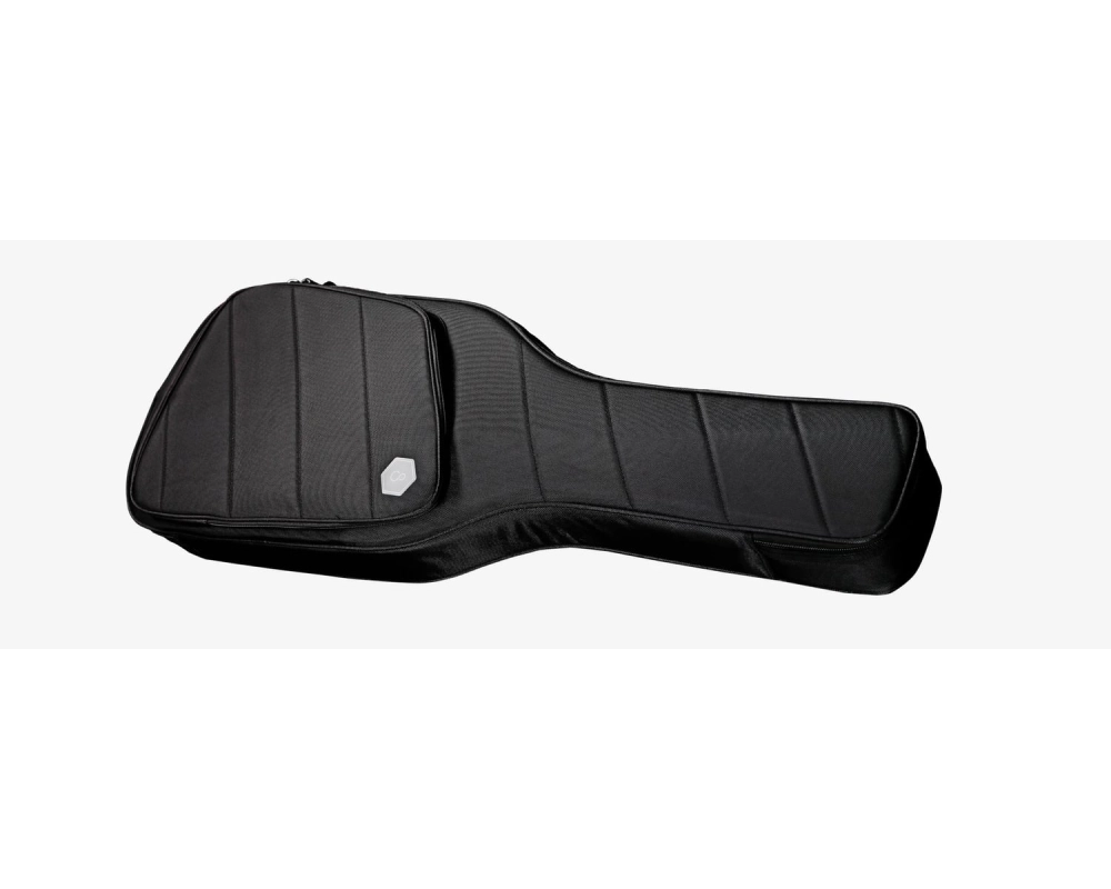 Sire Larry Carlton G5 Bag