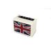 Blackstar FLY 3 Limited Edition Union Flag Cream