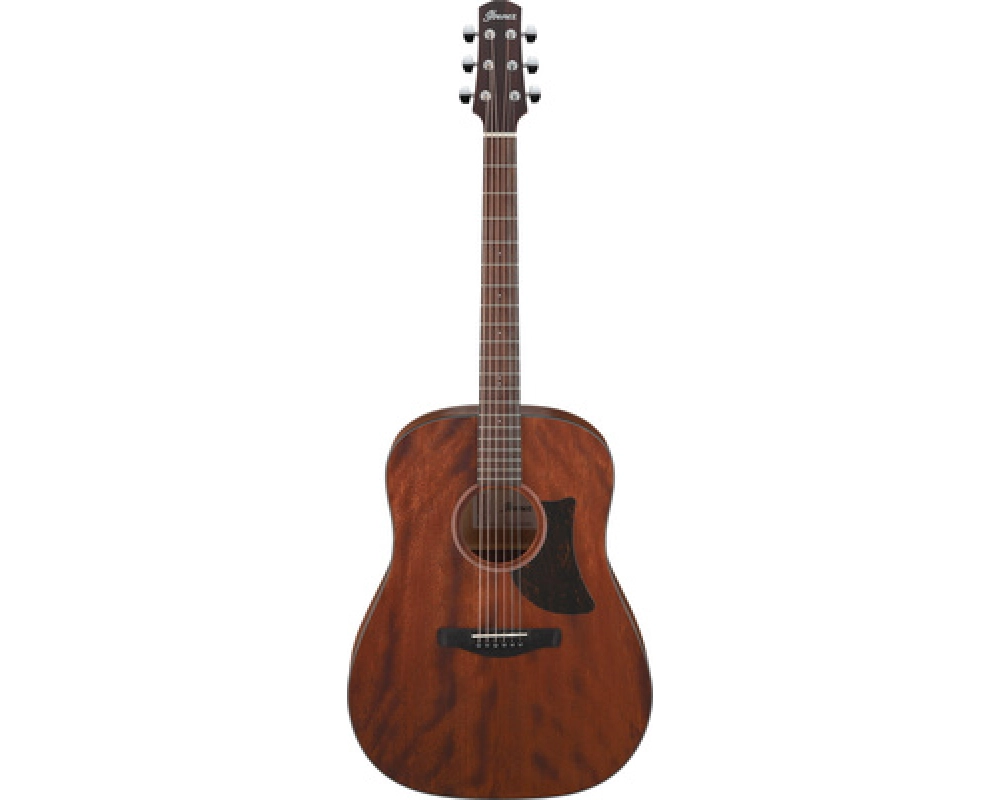 Ibanez AAD140-OPN