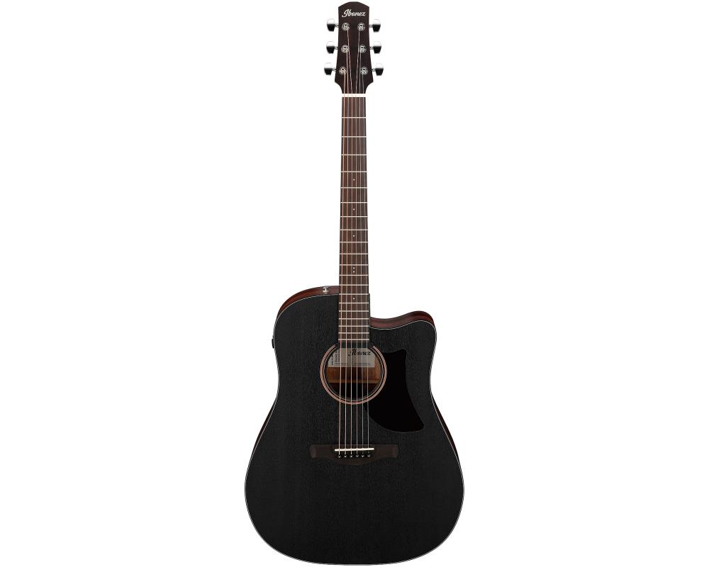 Ibanez AAD190CE-WKH