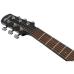 Ibanez AAM340CE-RUB Rustic Black High Gloss