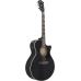 Ibanez AE170-TBK Transparent Black, high-gloss