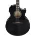 Ibanez AE170-TBK Transparent Black, high-gloss