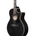 Ibanez AE170-TBK Transparent Black, high-gloss
