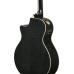 Ibanez AE170-TBK Transparent Black, high-gloss