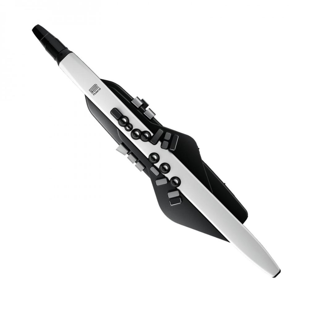 Roland Aerophone AE-20