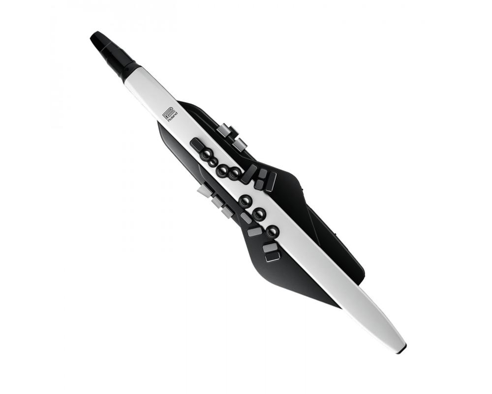 Roland Aerophone AE-20