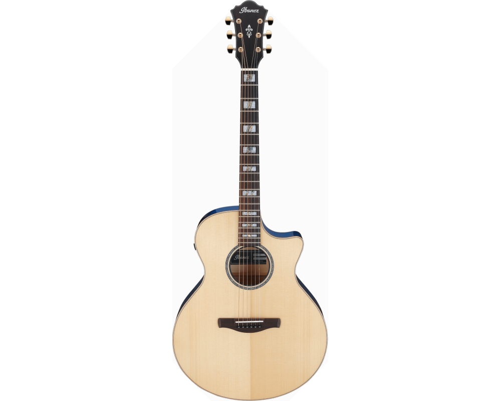 Ibanez AE390-NTA Natural