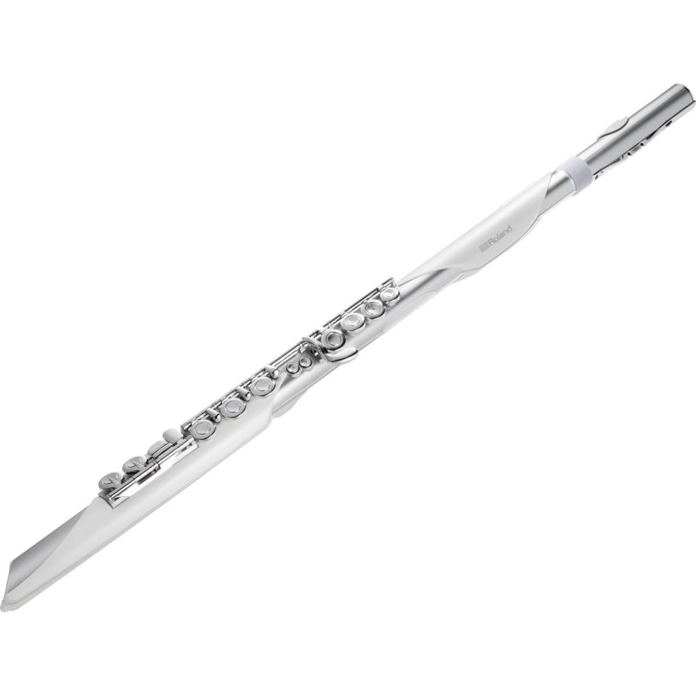 Roland Aerophone AE-Brisa